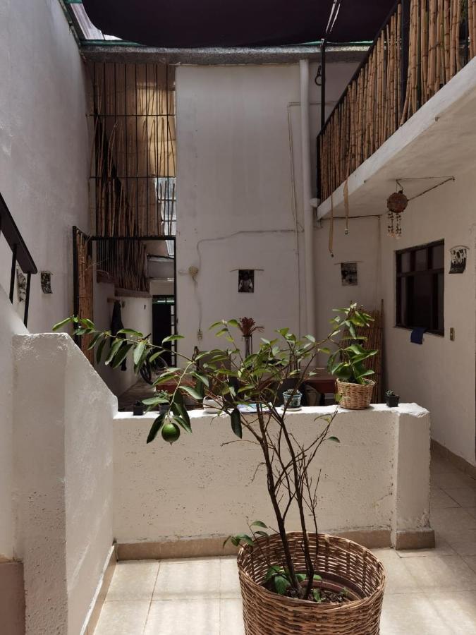 Hotel El Rinconcito De San Cris San Cristóbal de Las Casas Exterior foto